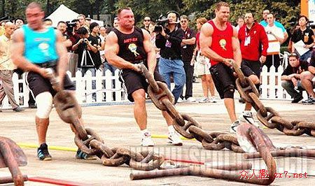 ʿڳɶϾйѡ;˳(ͼ)